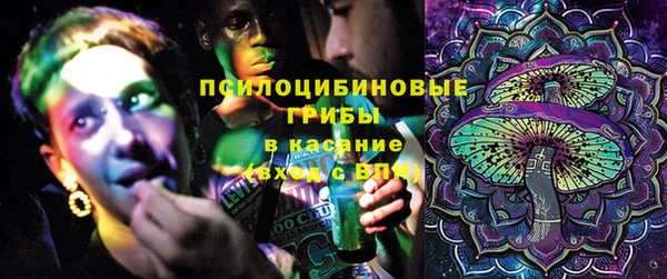 гидра Белокуриха