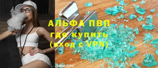гидра Белокуриха