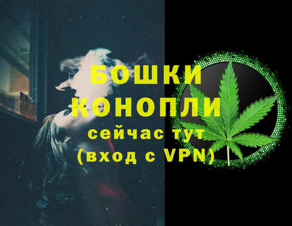 гидра Белокуриха