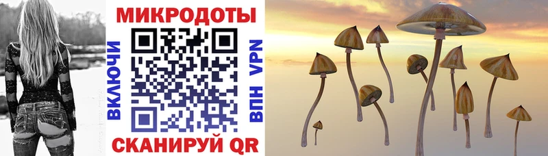 Галлюциногенные грибы Psilocybe  Окуловка 